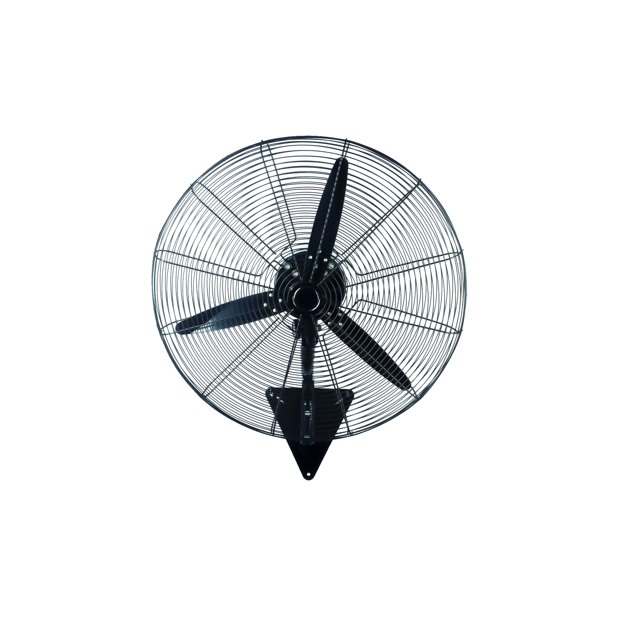 IF-W50