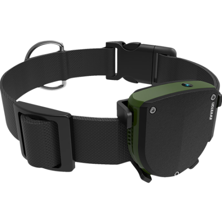 Localizador de animais