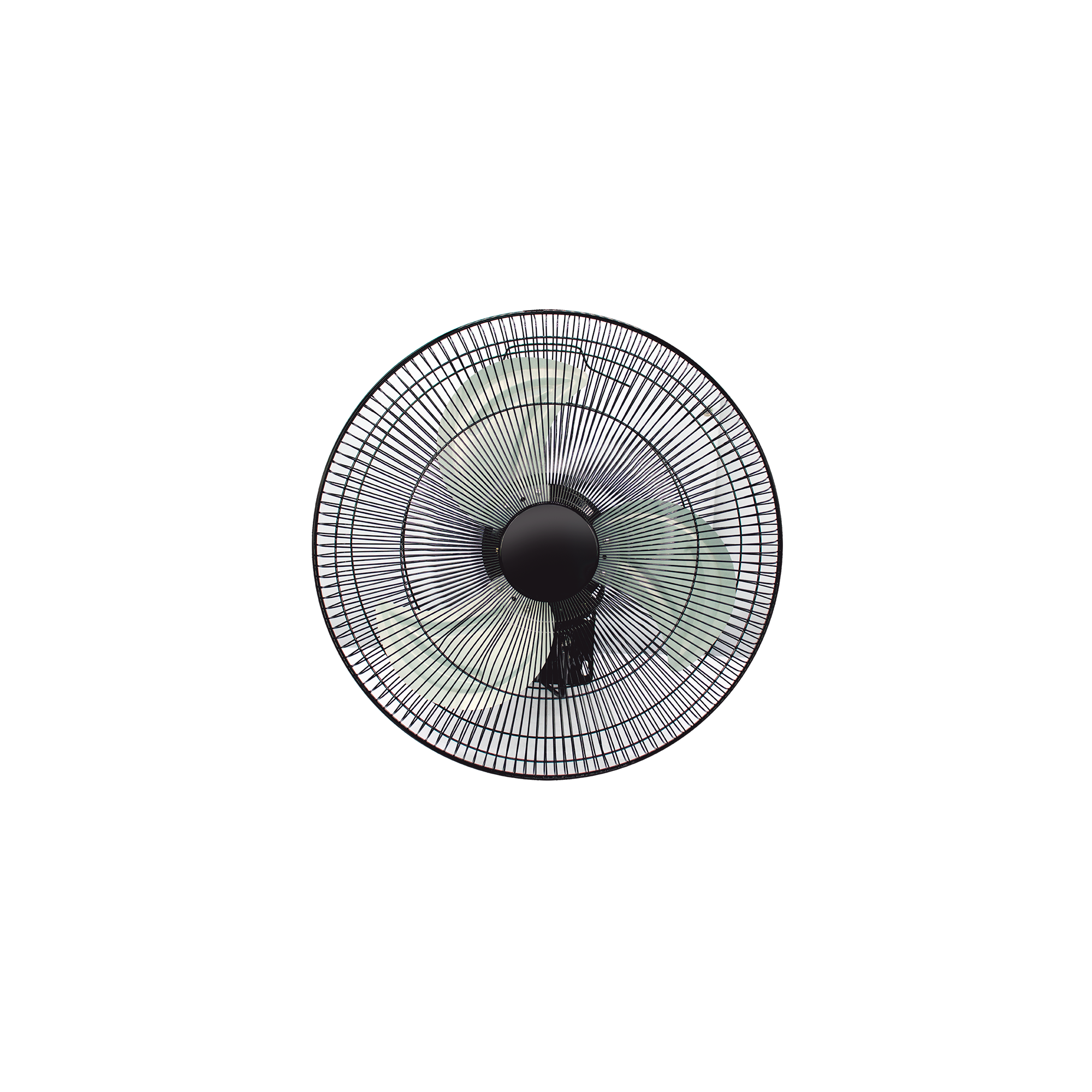 IF-W18